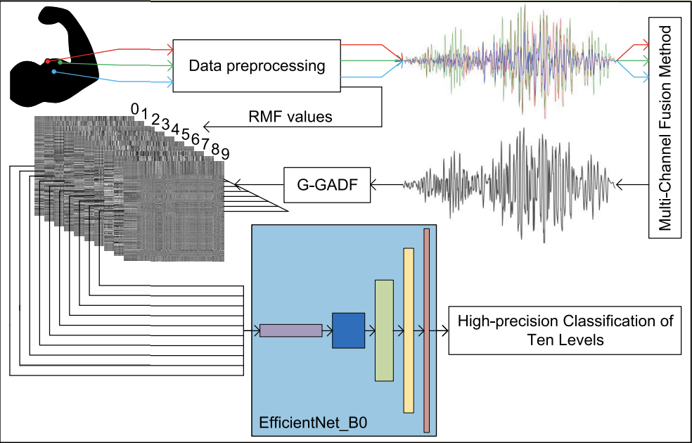 Quantitative assessment of muscle fatigue based on improved gramian angular difference field